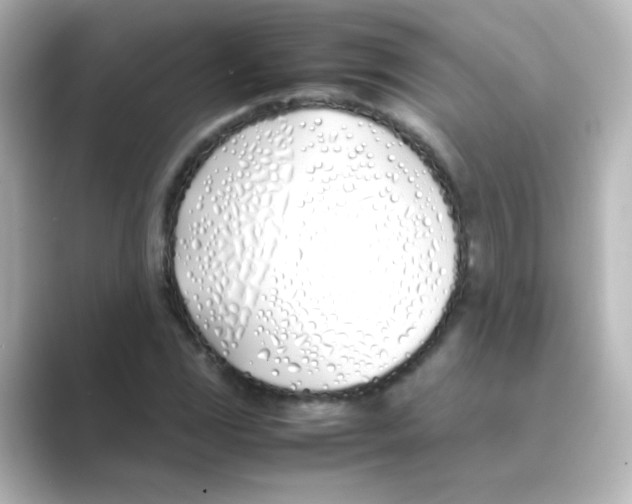 X0000088681117200706211904