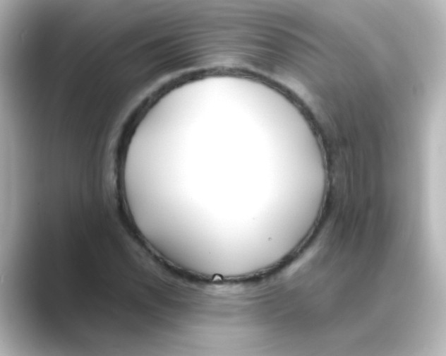 X0000088681118200706211904