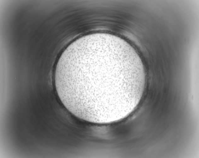 X0000088681121200706211904