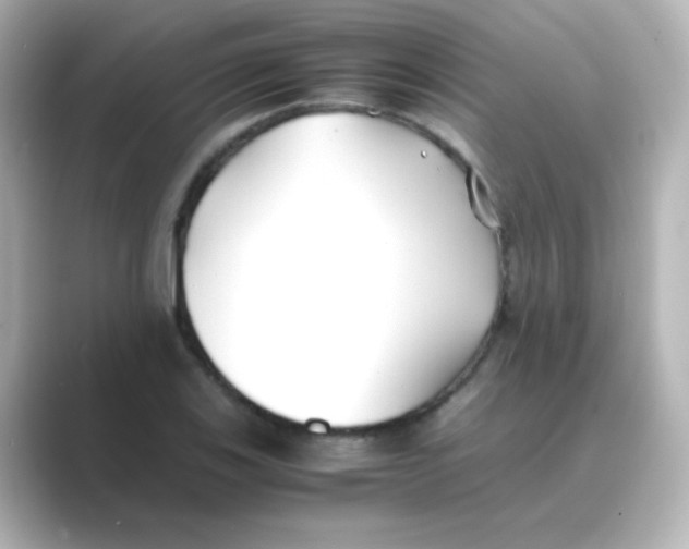 X0000088681123200706211904