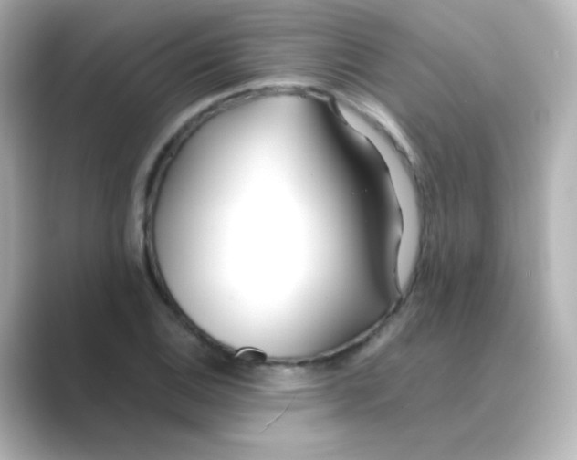 X0000088681124200706211904