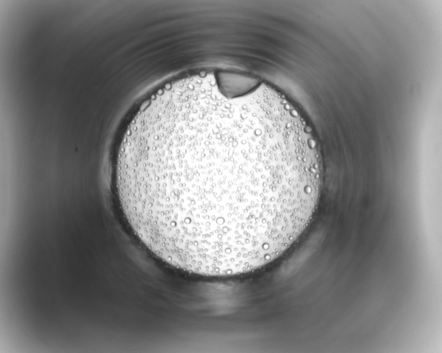 X0000088681125200706211904
