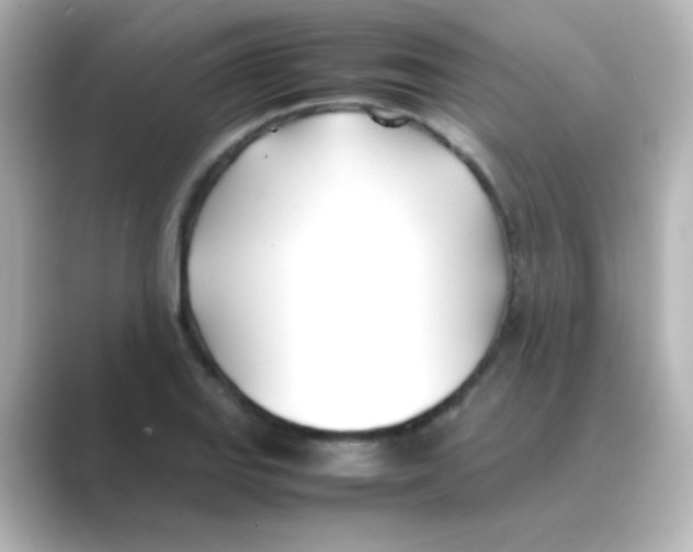 X0000088681127200706211904