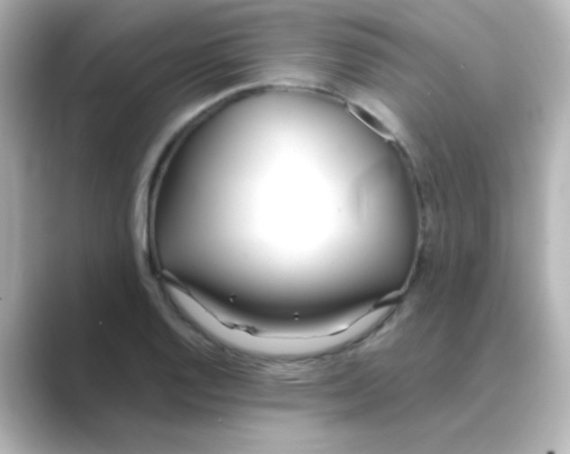X0000088681128200706211904