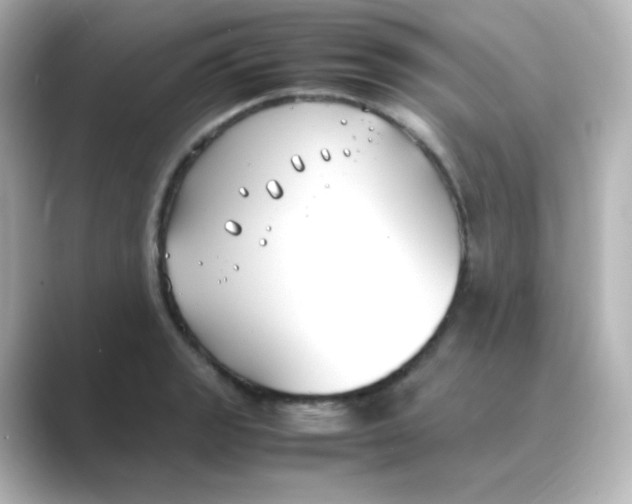 X0000088681133200706211904