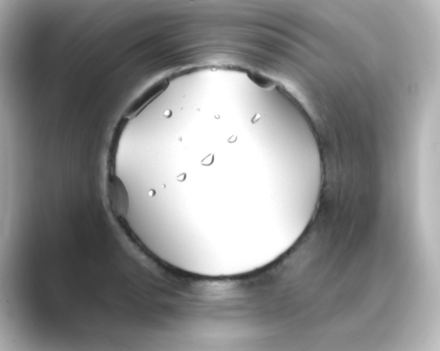 X0000088681134200706211904