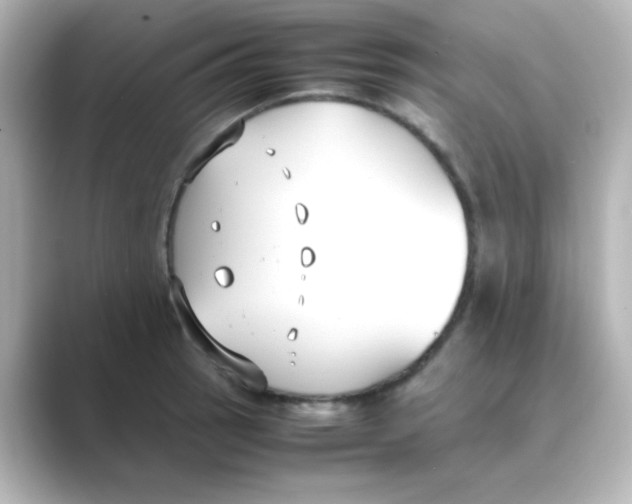 X0000088681137200706211904