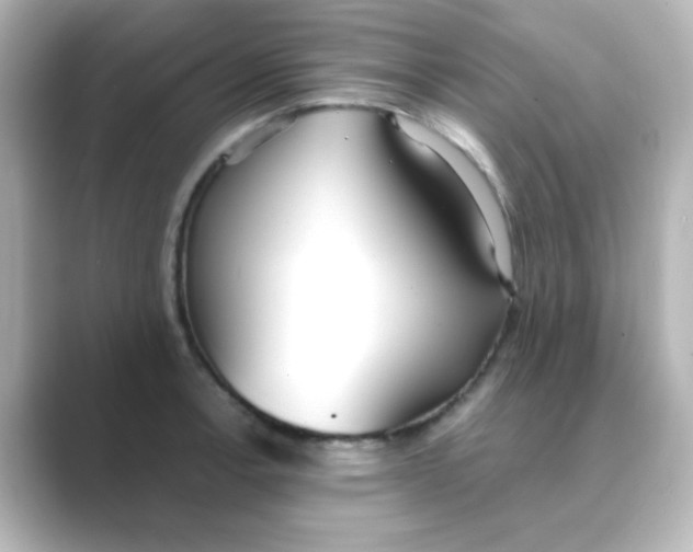 X0000088681138200706211904