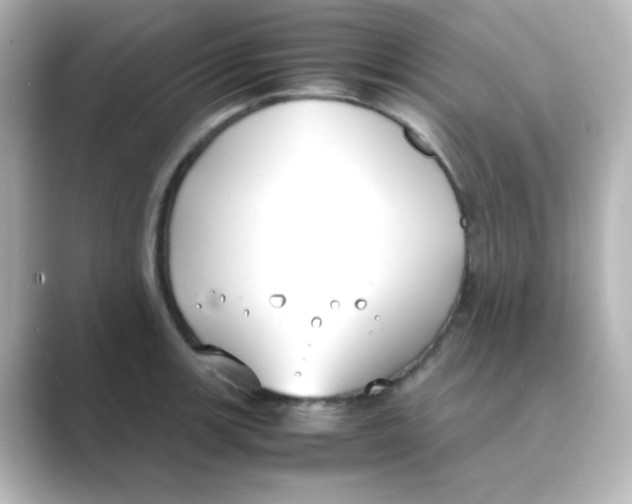 X0000088681139200706211904