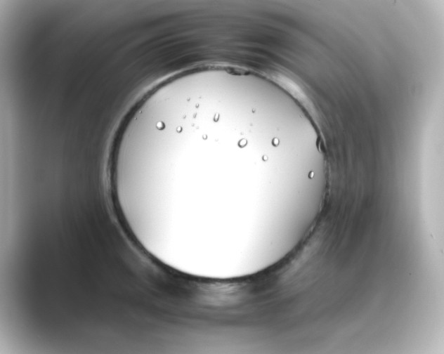 X0000088681141200706211904