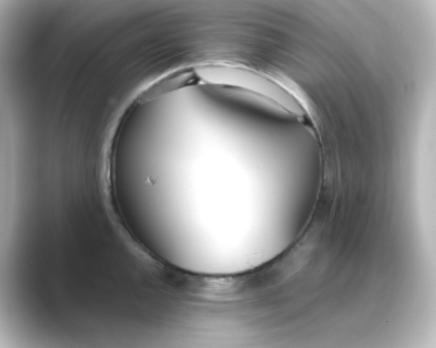 X0000088681144200706211904