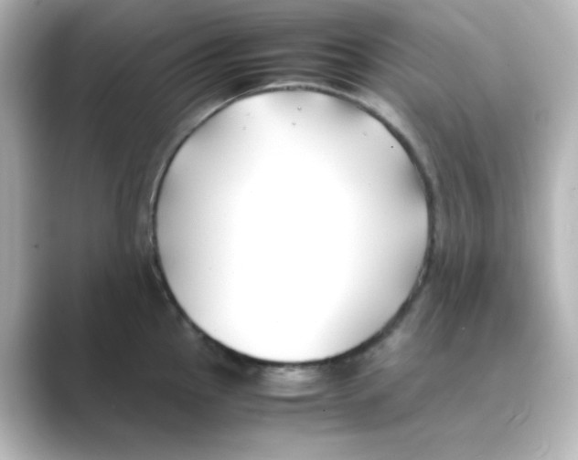 X0000088681145200706211904