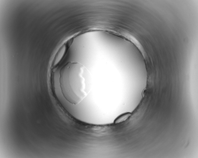 X0000088681146200706211904