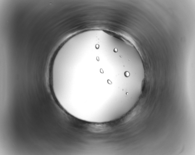X0000088681147200706211904
