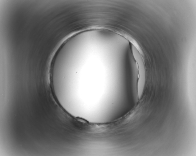 X0000088681148200706211904