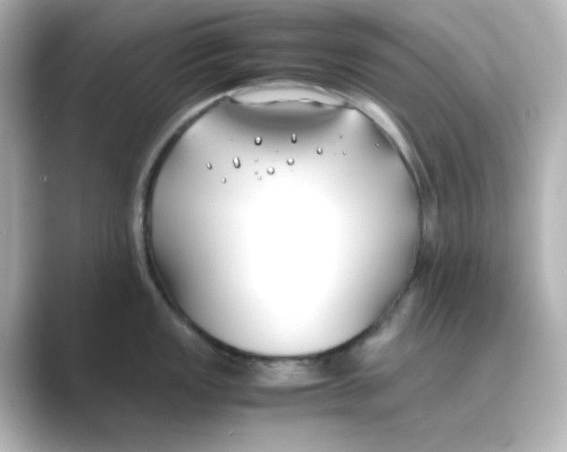 X0000088681149200706211904
