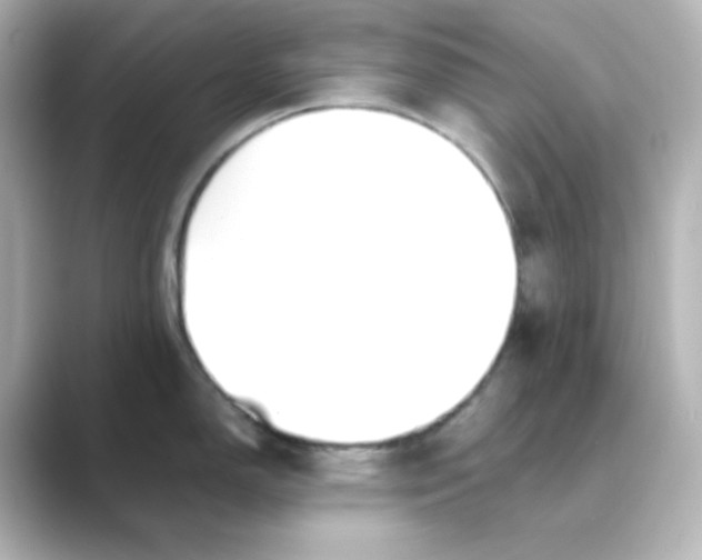 X0000088681150200706211904
