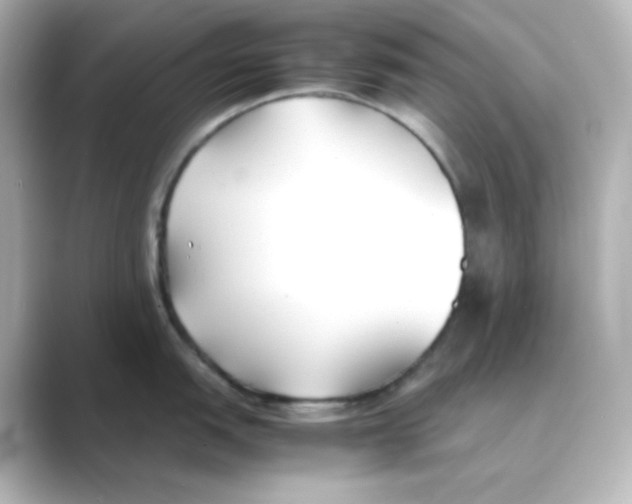 X0000088681151200706211904