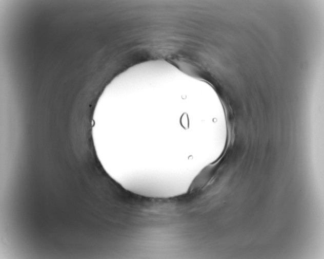 X0000088681153200706211904