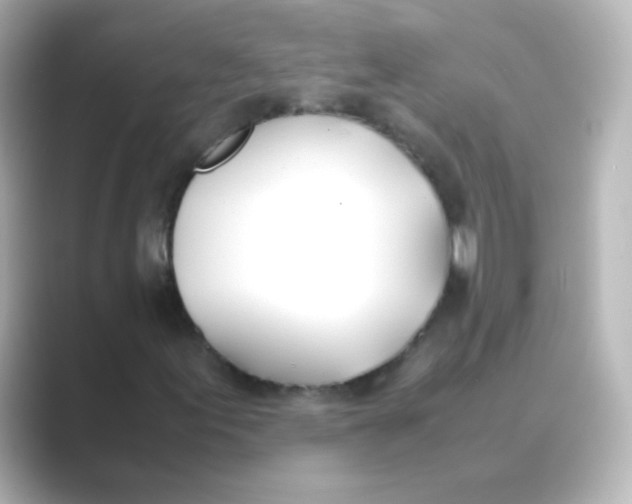 X0000088681155200706211904