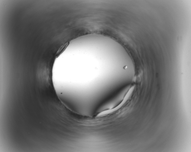 X0000088681156200706211904