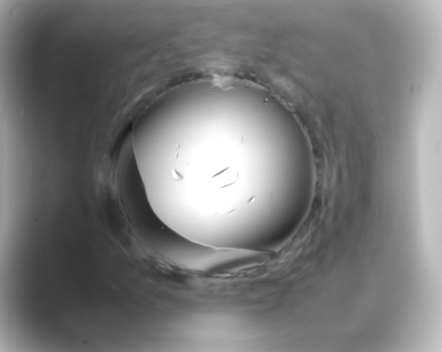 X0000088681157200706211904