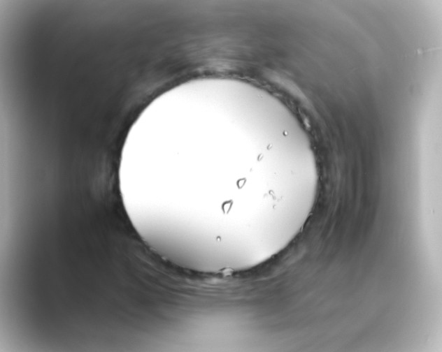 X0000088681160200706211904