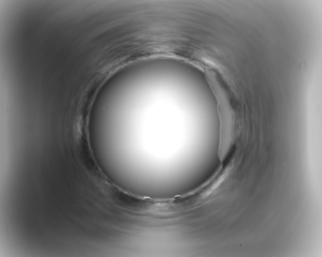 X0000088681161200706211904