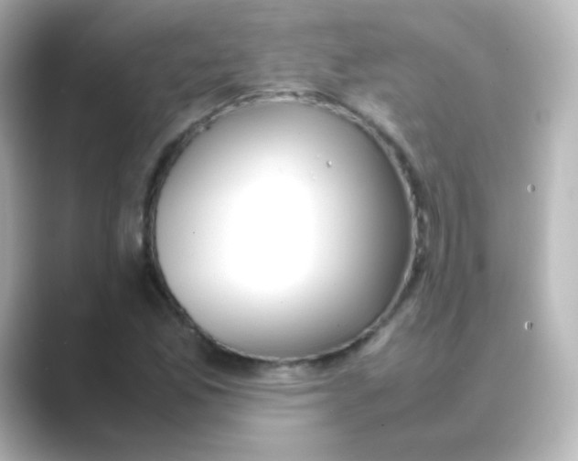 X0000088681165200706211904