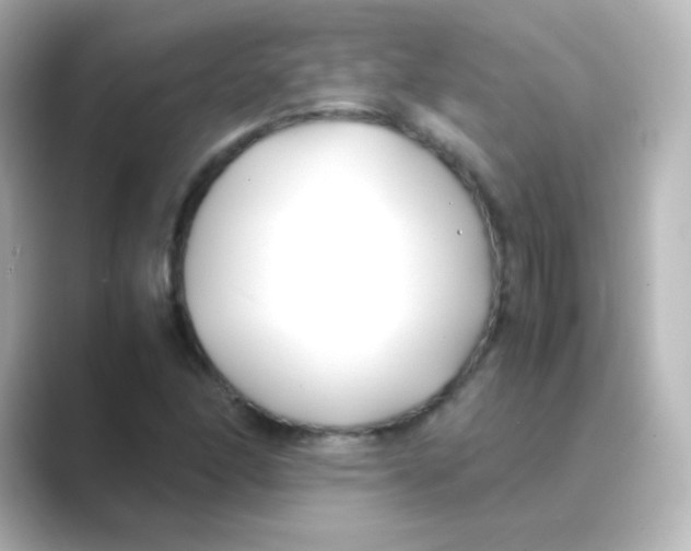 X0000088681166200706211904