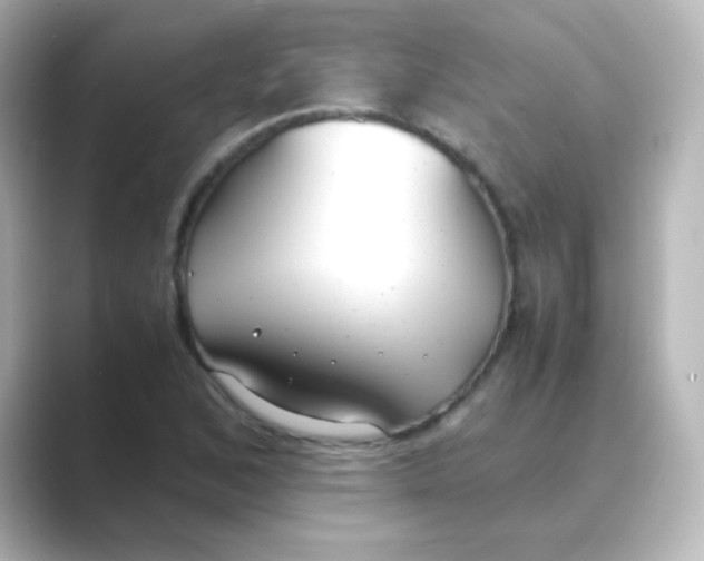 X0000088681168200706211904