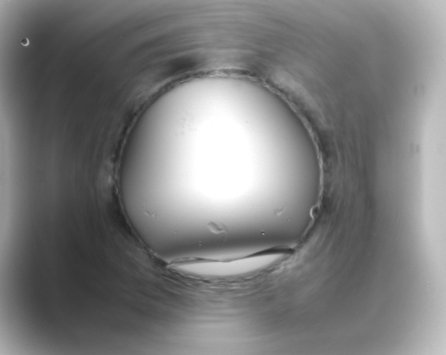 X0000088681169200706211903