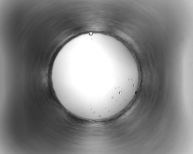 X0000088681170200706211903