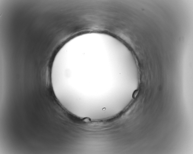 X0000088681171200706211903