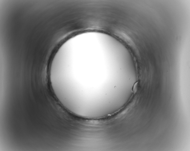 X0000088681172200706211903