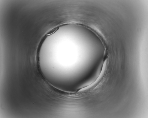 X0000088681173200706211903