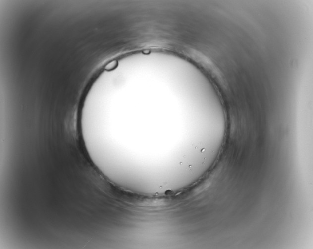 X0000088681174200706211903
