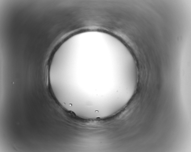 X0000088681175200706211903