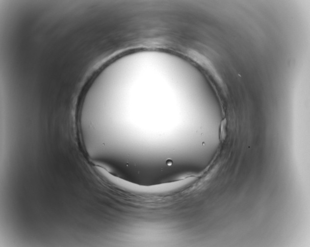 X0000088681176200706211903