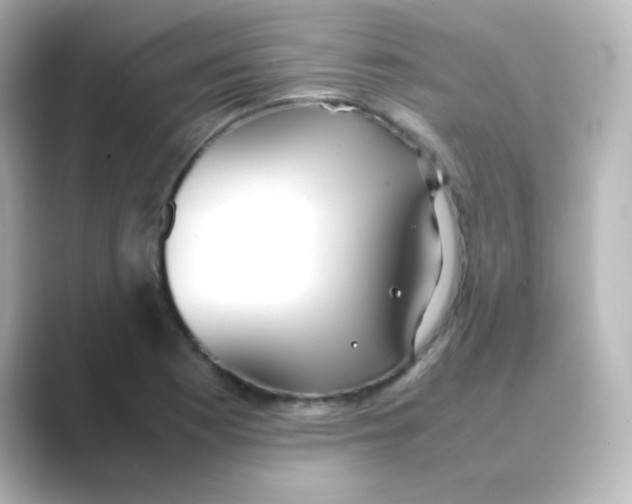 X0000088681177200706211903
