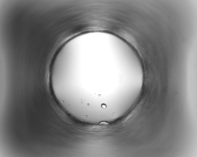 X0000088681179200706211903