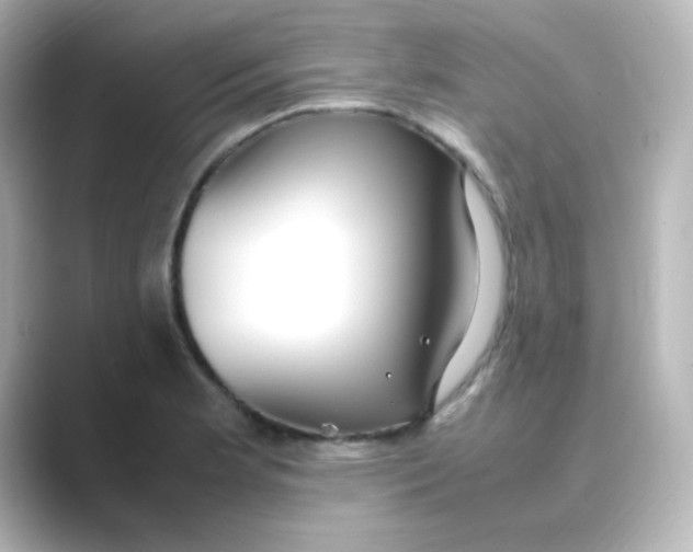 X0000088681181200706211903