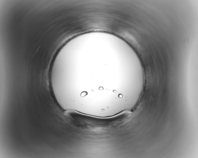 X0000088681182200706211903