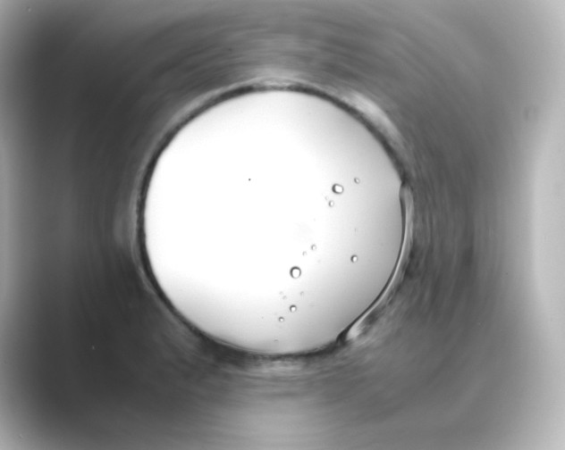 X0000088681183200706211903