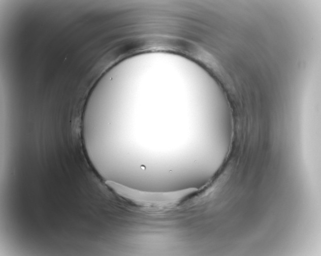 X0000088681185200706211903