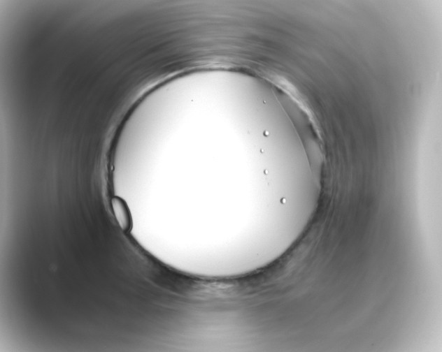 X0000088681187200706211903