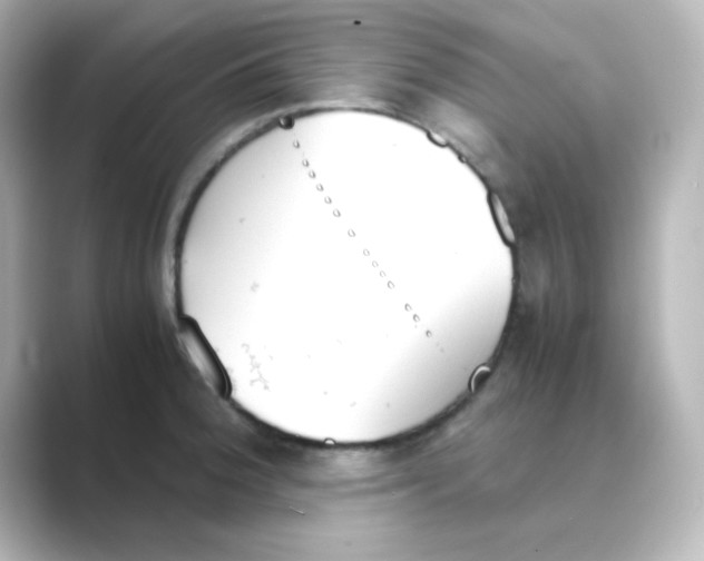 X0000088681188200706211903