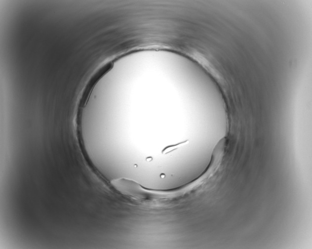 X0000088681189200706211903