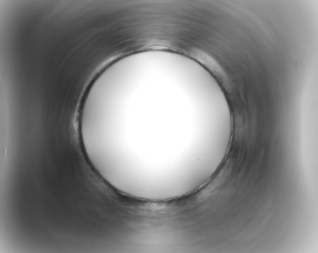 X0000088681190200706211903