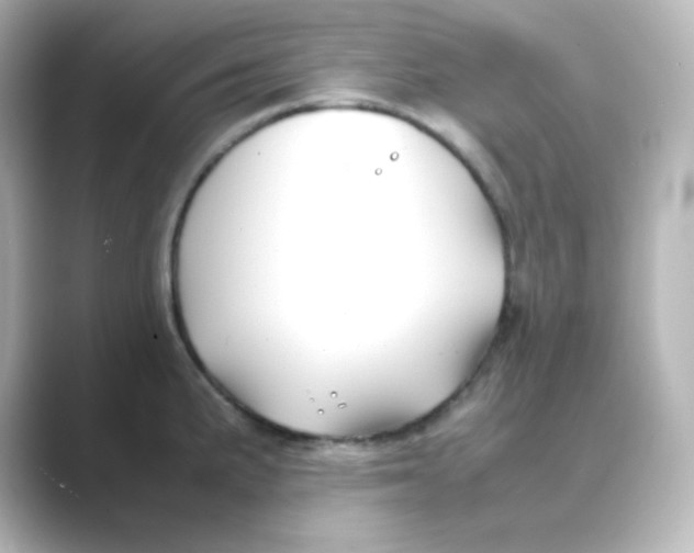X0000088681191200706211903